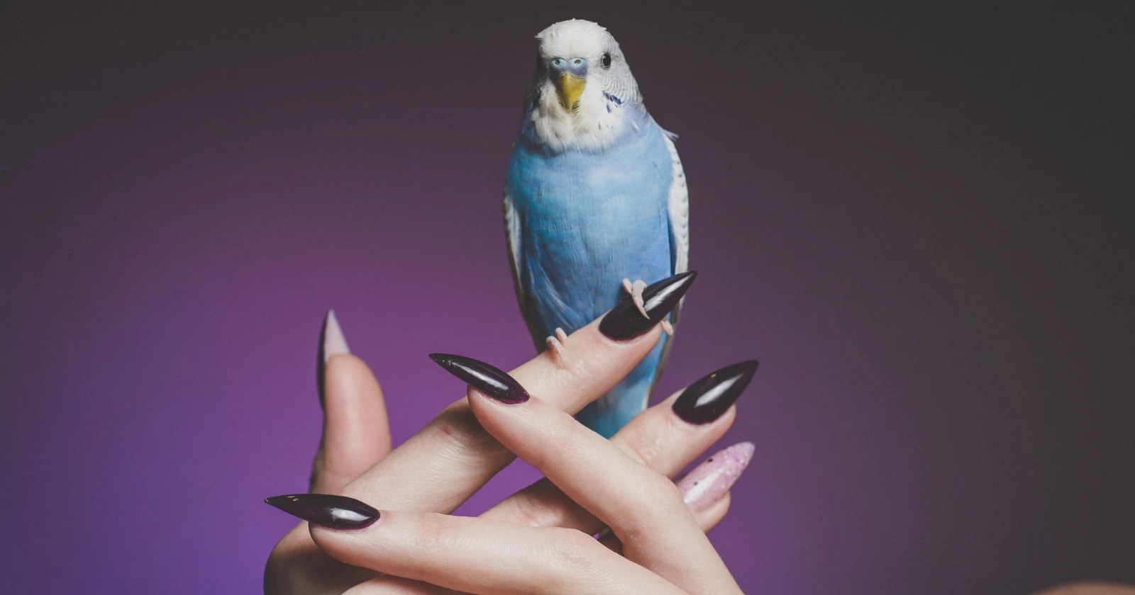 The Diet Coke Nails Trend Is Refreshing Our Manicures